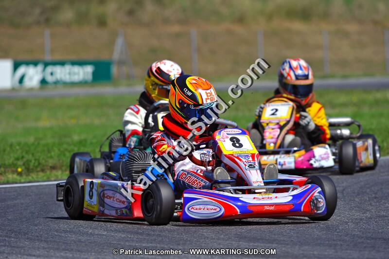 DSC_ (1336).jpg
